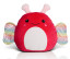 SQUIDGY BUTTERFLY